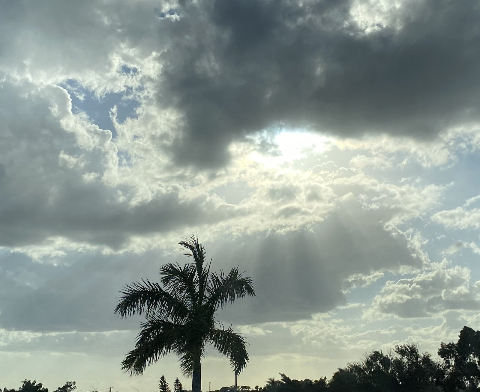 A photo I took that I think looks nice.